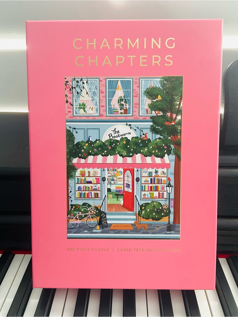 HOBBRY 500-Piece Puzzle: Charming Chapters— NEW!